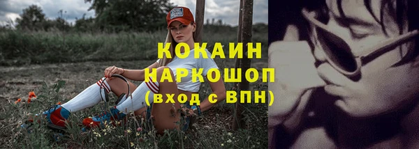 мескалин Бородино
